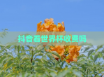 抖音看世界杯收费吗