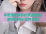 龙帝团队软件合集蓝奏云(龙帝软件库 软件合集)