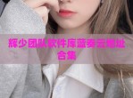 辉少团队软件库蓝奏云地址合集