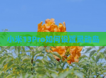 小米13Pro如何设置灵动岛