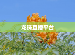 龙珠直播平台
