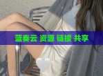 蓝奏云 资源 链接 共享