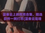 蓝奏云上的兜兜合集，精选软件一网打尽(蓝奏云是啥软件)
