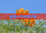 微信小号在哪注册