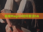荣耀Magic5如何取消5G