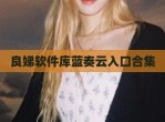良娣软件库蓝奏云入口合集
