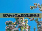 华为P60怎么设置动态壁纸