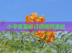 小宇宙星标订阅如何添加
