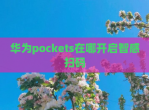 华为pockets在哪开启智感扫码