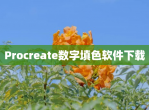 Procreate数字填色软件下载