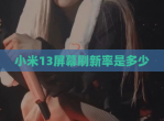小米13屏幕刷新率是多少