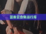 蓝奏云合集运行库