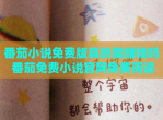 番茄小说免费版真的能赚钱吗 番茄免费小说官网免费阅读