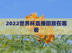 2022世界杯直播回放在哪看