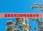 蓝奏云学习软件合集分享