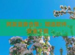 阿友蓝奏合集：精选软件，安全下载