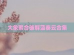 大象聚合<strong>破解</strong>蓝奏云合集