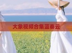 大象视频合集蓝奏云