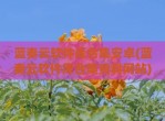 蓝奏云软件库合集安卓(蓝奏云软件库合集资料网站)