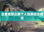 企查查怎么查个人信息征信情况