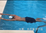 B站上很受欢迎的游泳教程