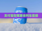 支付宝在哪查询列车密接