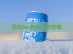 猫耳fm网络诊断在哪