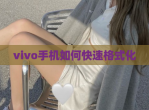 vivo手机如何快速格式化