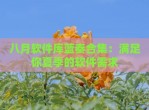 八月软件库蓝奏合集：满足你夏季的软件需求