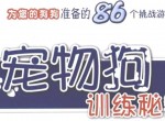史上最全训狗训犬<strong>视频</strong>教程