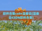 软件合集csdn蓝奏云(蓝奏云CSDN软件合集)
