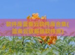 软件库蓝奏云软件库合集(蓝奏云<strong>破解</strong>版软件库)