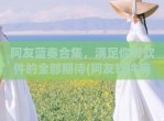 阿友蓝奏合集，满足你对软件的全部期待(阿友软件库)