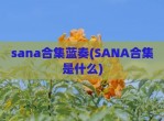 sana合集蓝奏(SANA合集是什么)