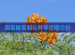 淘宝匿名和公开评论哪个好
