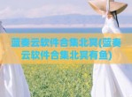 蓝奏云软件合集北冥(蓝奏云软件合集北冥有鱼)