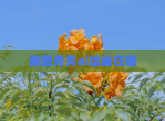 美图秀秀ai绘画在哪