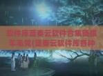 软件库蓝奏云软件合集链接羊毛党(蓝奏云软件库各种软件)