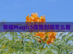 荣耀Magic5保修时间怎么看