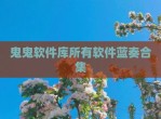 鬼鬼软件库所有软件蓝奏合集