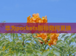 华为pockets图标如何更换