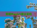 荣耀Magic5建议买吗