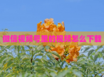 微信视频号里的视频怎么下载