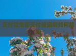 支付宝免密支付被盗刷如何解决