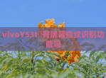 vivoY53t​有屏幕指纹识别功能吗