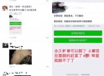 外面在接单的微信永久申诉方法