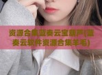 资源合集蓝奏云宝葫芦(蓝奏云软件资源合集羊毛)