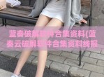 蓝奏<strong>破解</strong>软件合集资料(蓝奏云<strong>破解</strong>软件合集资料线报)