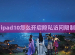 ipad10怎么开启隐私访问限制