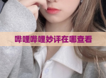 哔哩哔哩妙评在哪查看